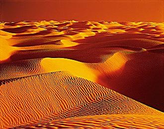 讲谈社新作《杀手寓言 Manga Build Roguelike》Steam页面上线 发售日待定