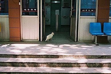 体验桌面战斗 手游《战锤40K：战术》将于8月推出