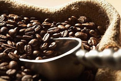 英伟达GeForce Now新增12款游戏 含热门模拟游戏《inZOI》